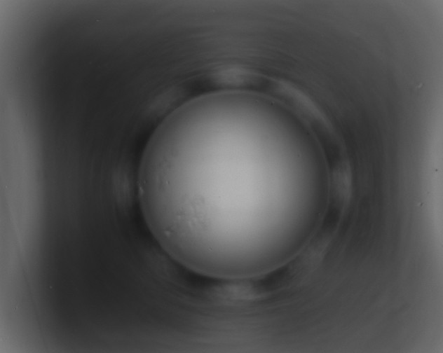 X0000101480422200807071508