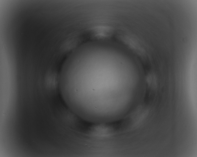 X0000101480423200807071508