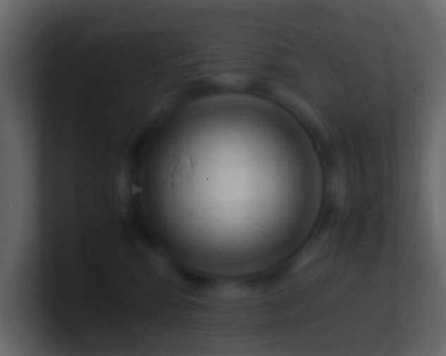 X0000101480424200807071508
