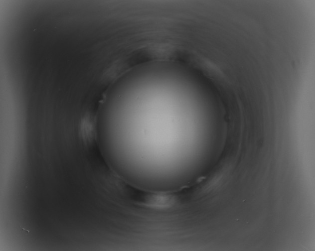 X0000101480432200807071508