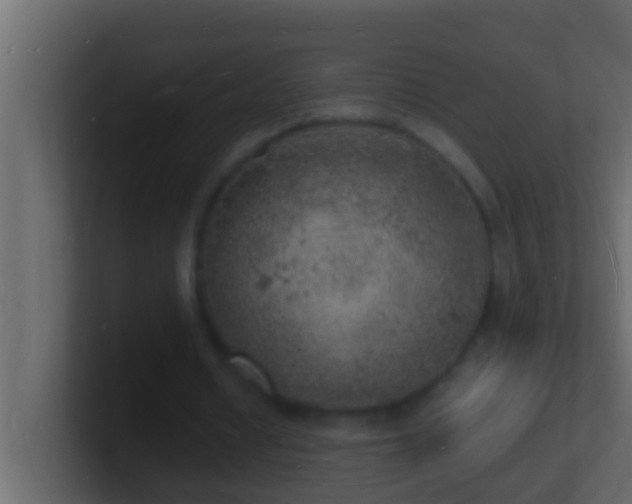 X0000101480434200807071507