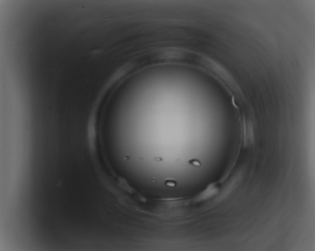 X0000101480435200807071507