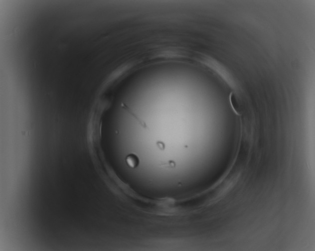 X0000101480437200807071507
