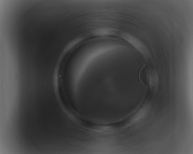 X0000101480438200807071507