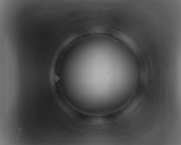X0000101480439200807071507