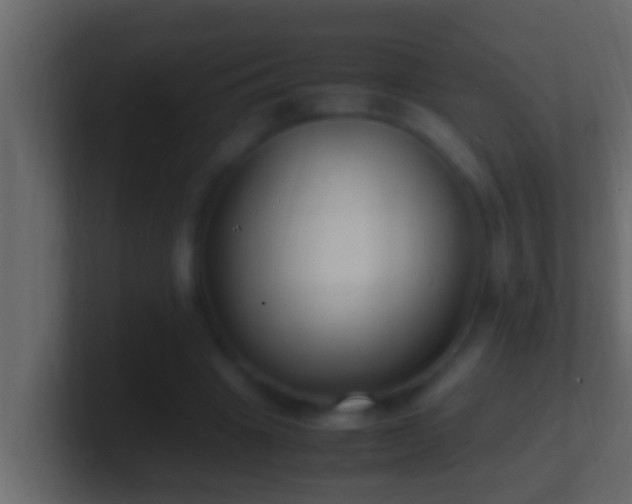 X0000101480441200807071507