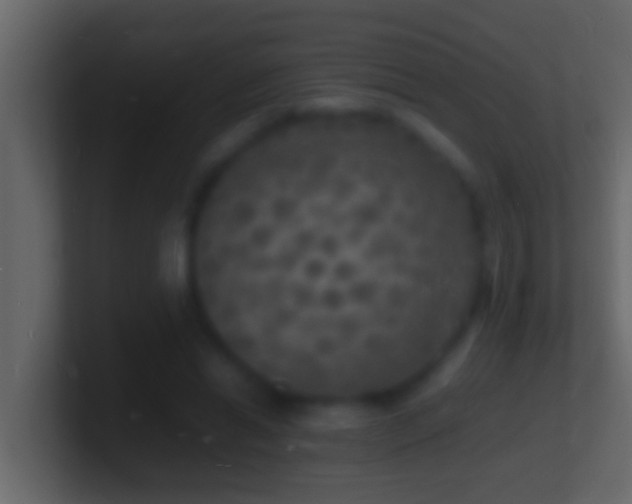 X0000101480446200807071507