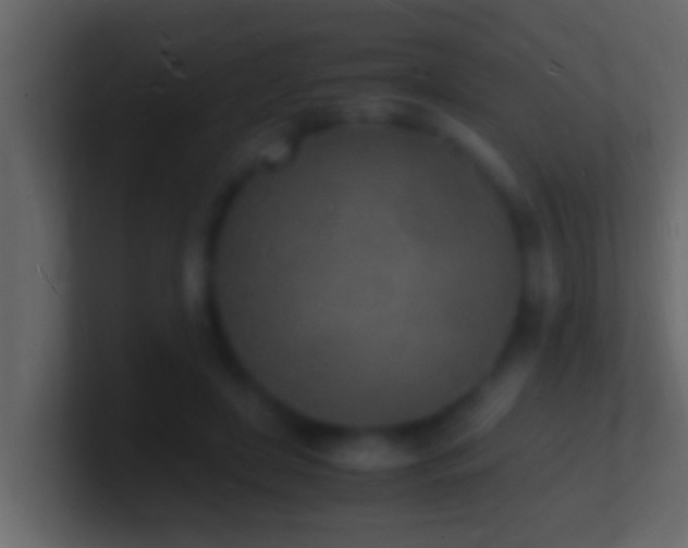 X0000101480451200807071507