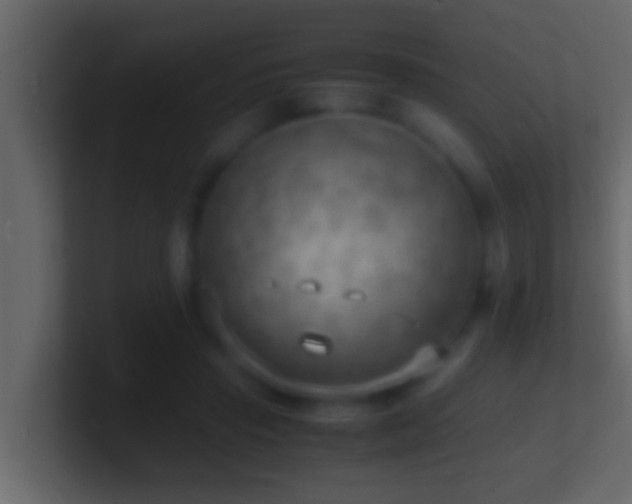 X0000101480453200807071507