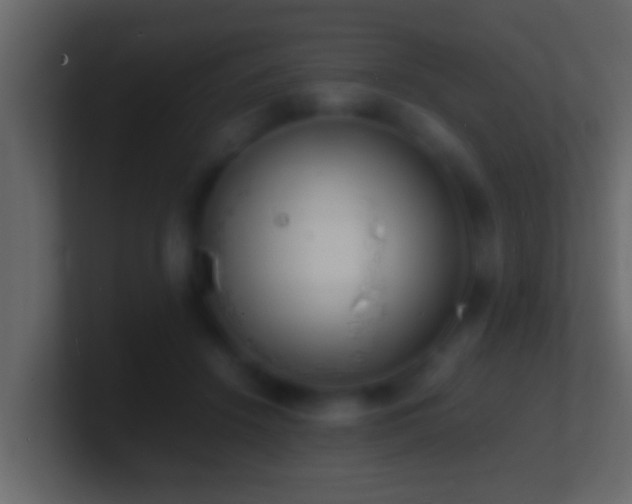 X0000101480456200807071507