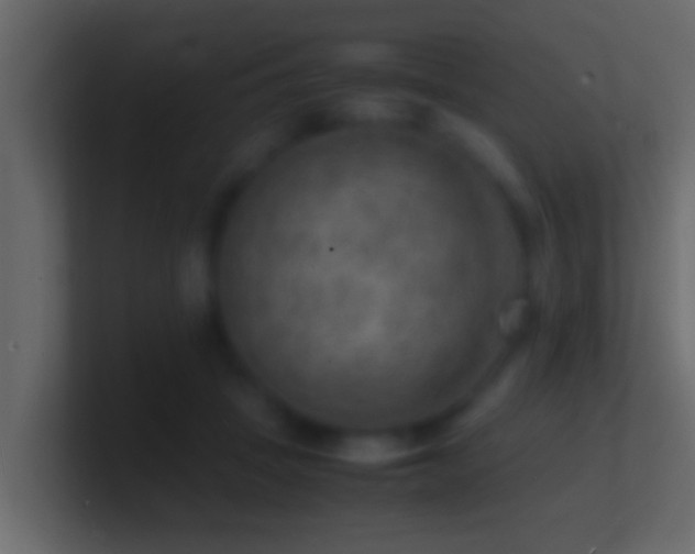 X0000101480457200807071507