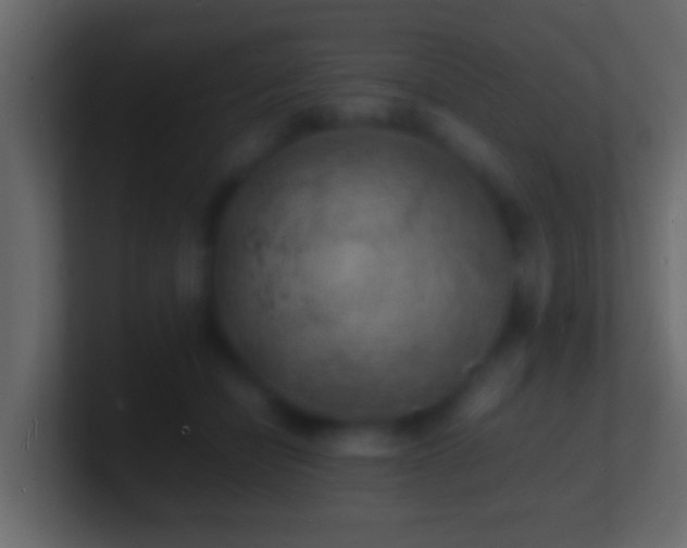 X0000101480462200807071507