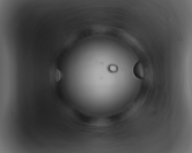X0000101480463200807071507