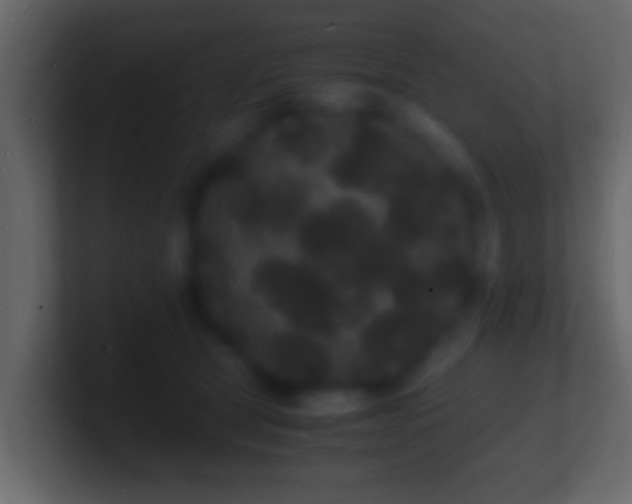 X0000101480465200807071507