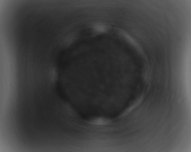 X0000101480467200807071507