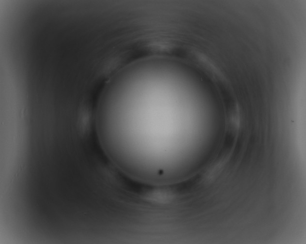 X0000101480468200807071508