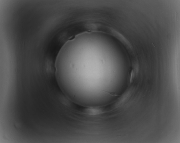 X0000101480477200807071508
