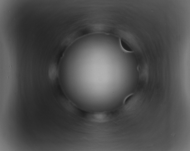 X0000101480478200807071508