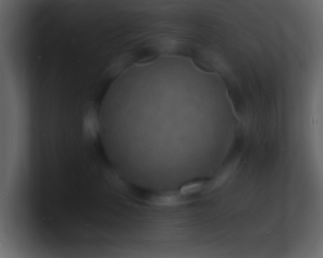 X0000101480479200807071508