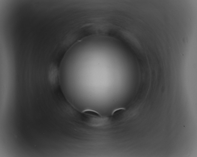 X0000101480480200807071508