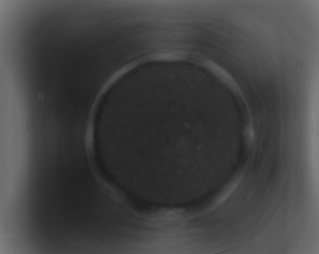 X0000101480484200807071507