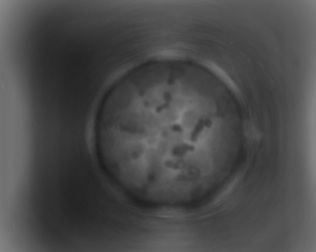 X0000101480487200807071507