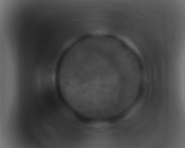 X0000101480491200807071507