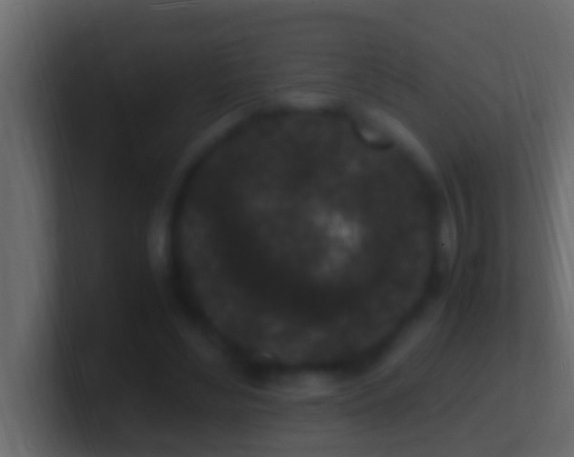 X0000101480492200807071507