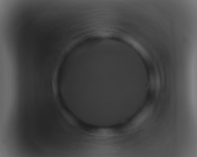 X0000101480493200807071507