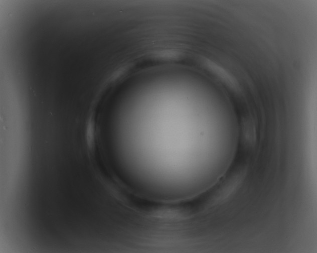 X0000101480494200807071507