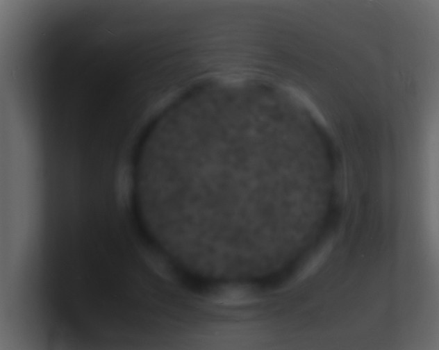 X0000101480495200807071507