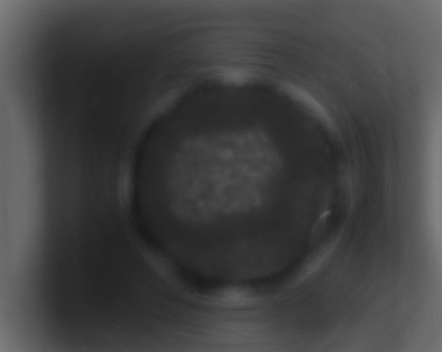 X0000101480496200807071507