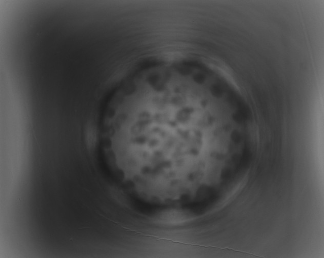 X0000101480499200807071507