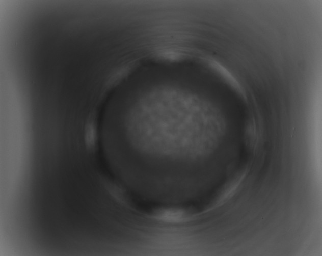 X0000101480500200807071507