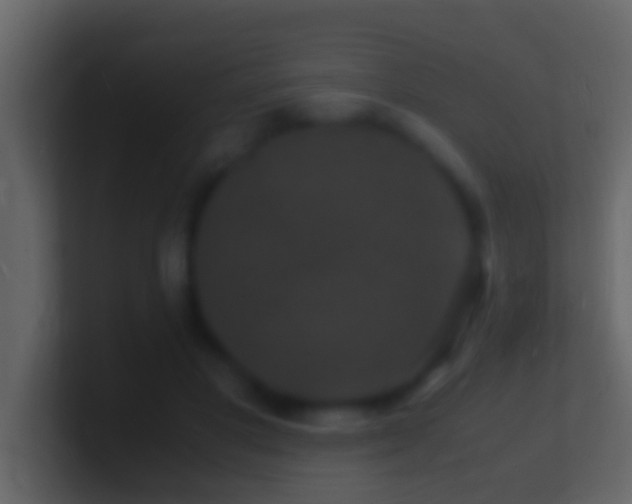 X0000101480501200807071507