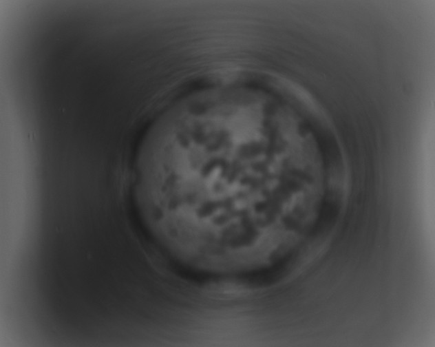 X0000101480503200807071507
