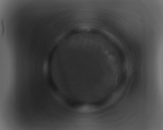 X0000101480504200807071507