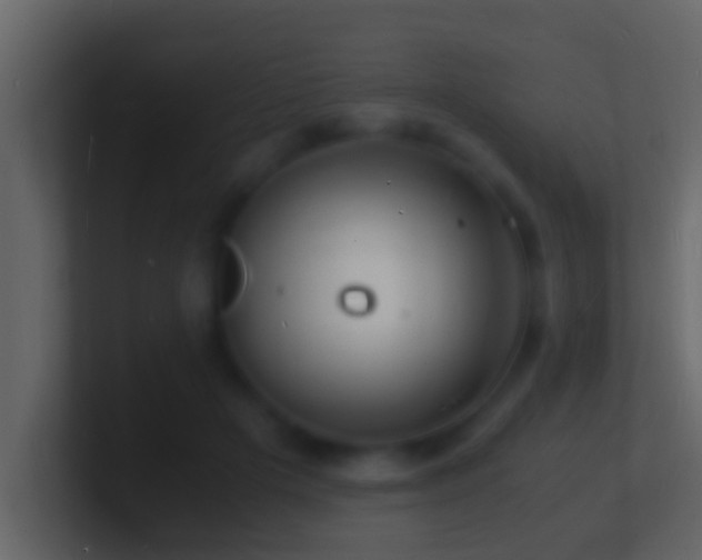 X0000101480505200807071507