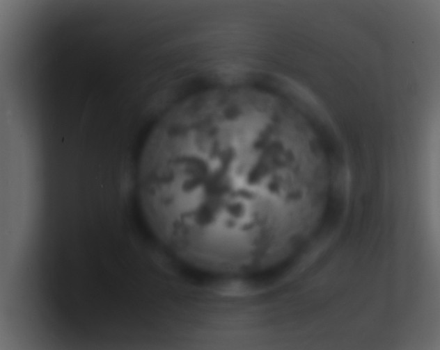X0000101480507200807071507