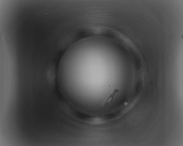 X0000101480509200807071507