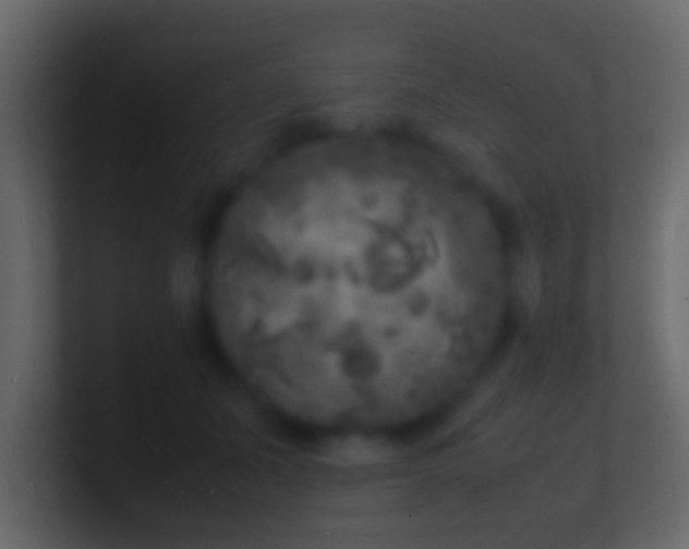 X0000101480511200807071507