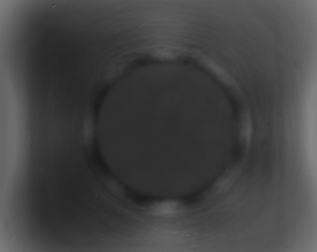 X0000101480513200807071507