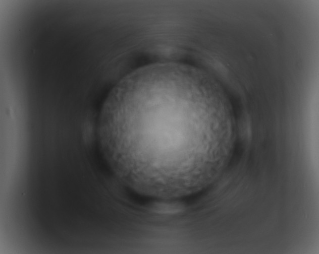 X0000101480515200807071507
