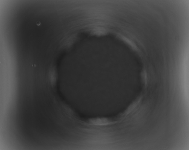 X0000101480517200807071507