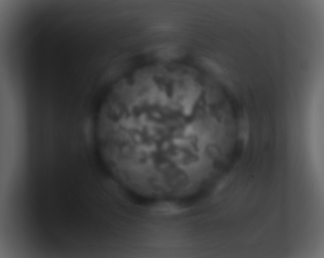 X0000101480519200807071507