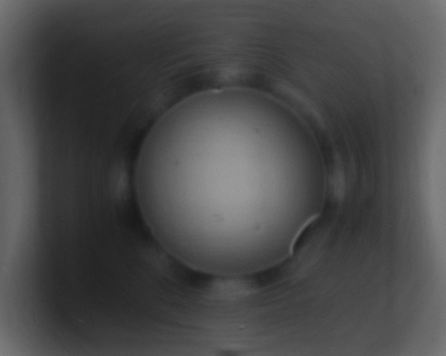 X0000101480520200807071506