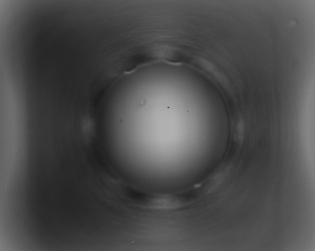 X0000101480521200807071506