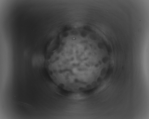 X0000101480523200807071506