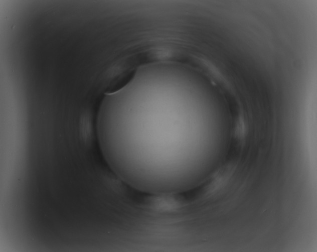 X0000101480524200807071506