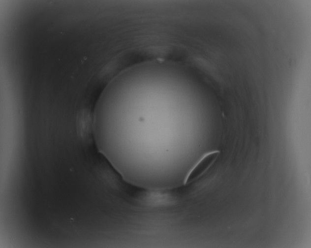 X0000101480528200807071506